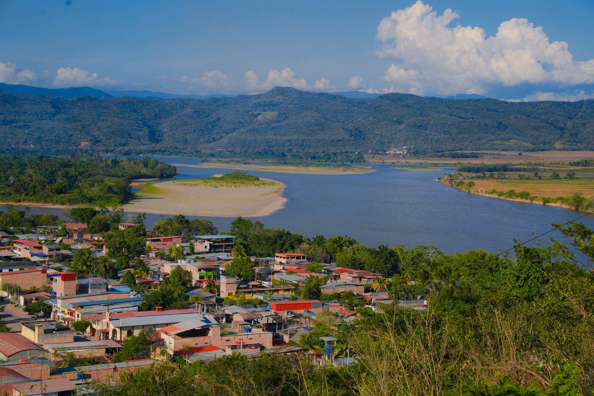 PICOTA 8